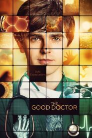 The Good Doctor: O Bom Doutor