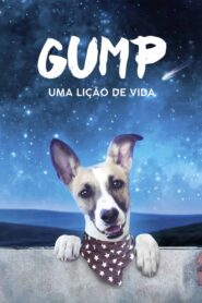 Gump: Uma Lição de Vida